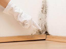 Best Mold Prevention Services  in Goldsby, OK